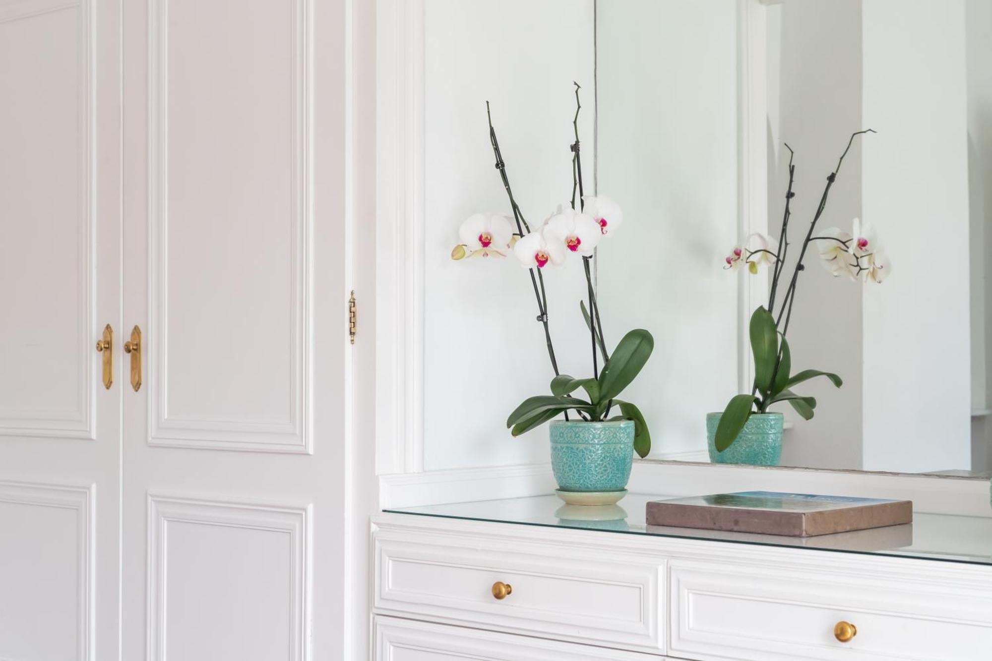 Aurora Boutique House - Only Adults Bed and Breakfast Marbella Exteriör bild